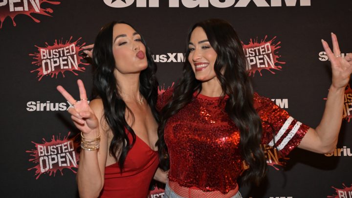 ¿Aparecieron los Bella Twins en un video musical Atreyu?