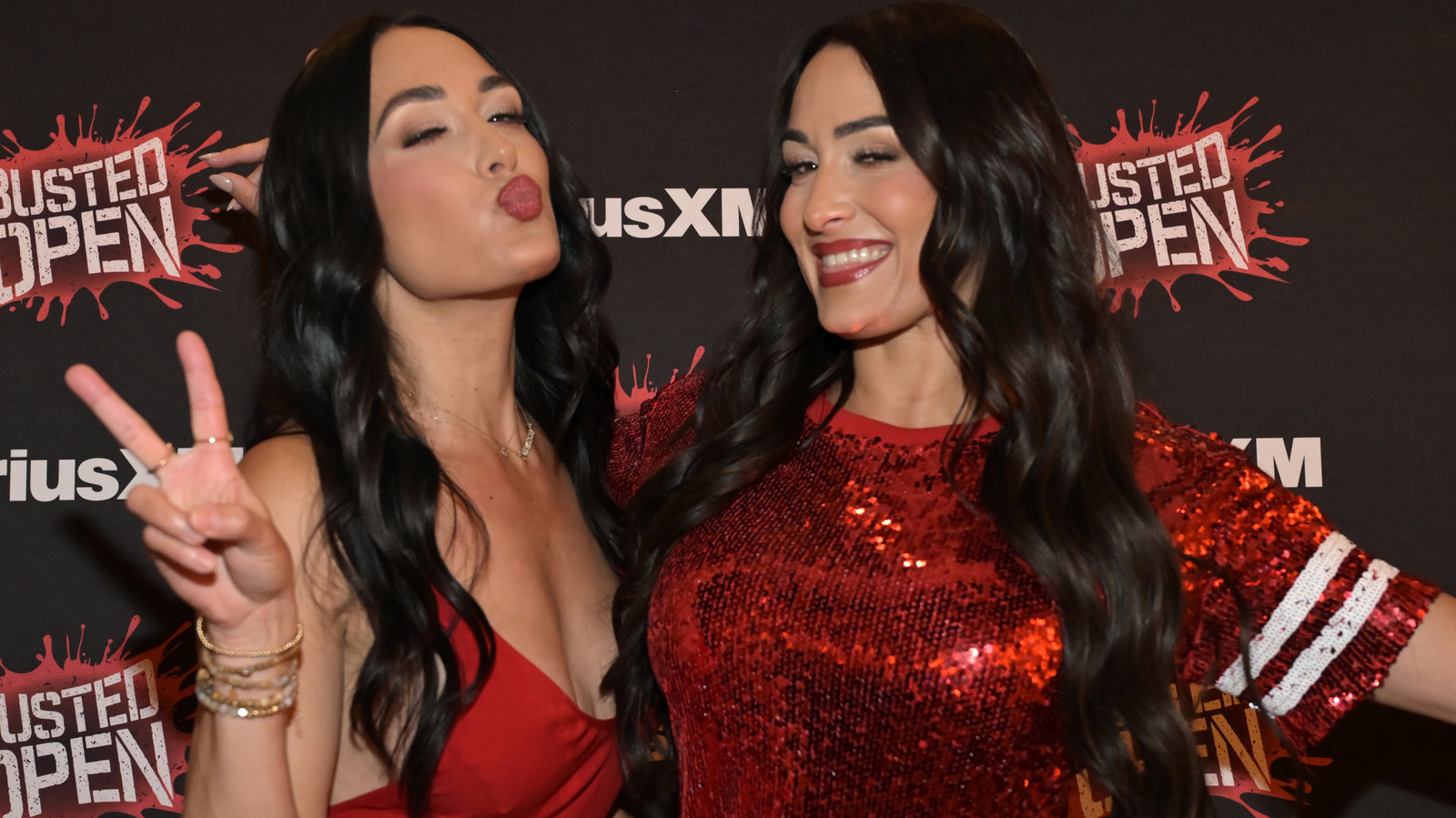 ¿Por qué los Bella Twins cambiaron su nombre?