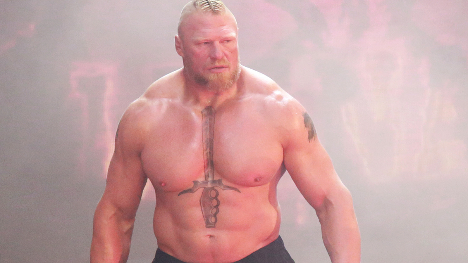 Dave Meltzer se dirige a la ausencia de Brock Lesnar de WWE