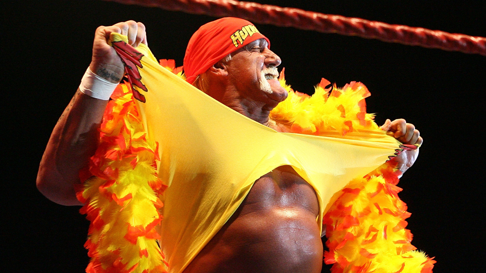 El gran arrepentimiento Hulk Hogan confesó su carrera