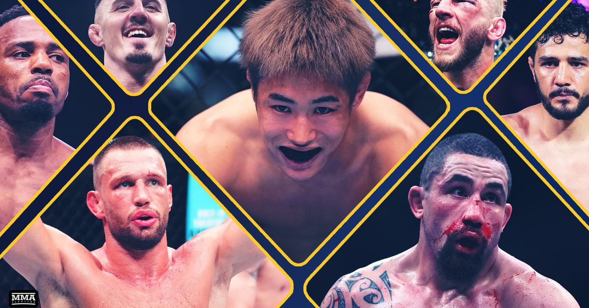 Entre los enlaces: Dan Hooker Rips UFC, De Ridder vs. Whittaker Fallout, Herzog's sin parada, más