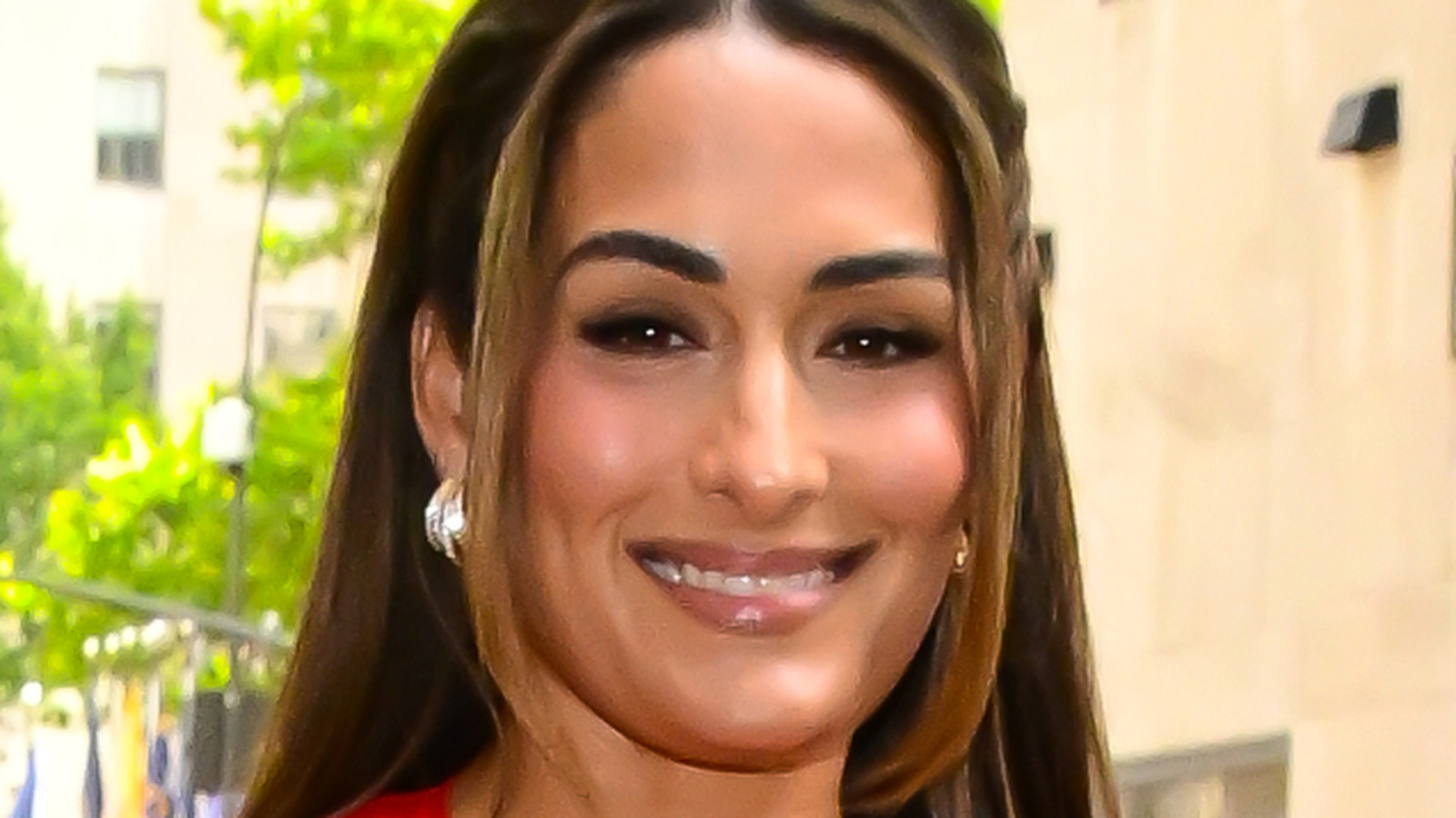 Nikki Bella cree que esta estrella de la WWE puede regresar de una lesión como una 'cara de bebé masiva'