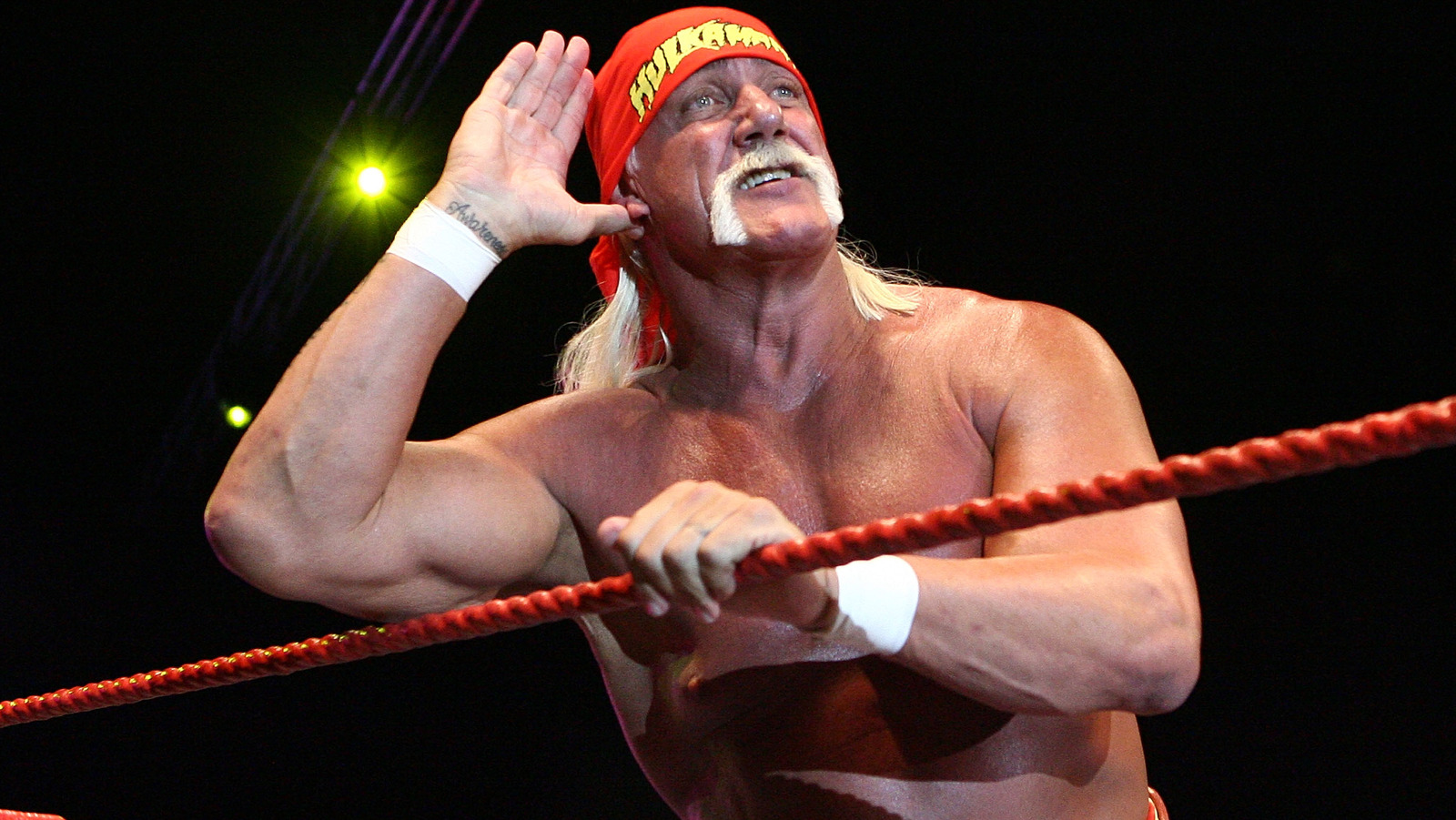 Tony Schiavone elogia a Hulk Hogan en nombre de AEW durante la transmisión de colisión en vivo