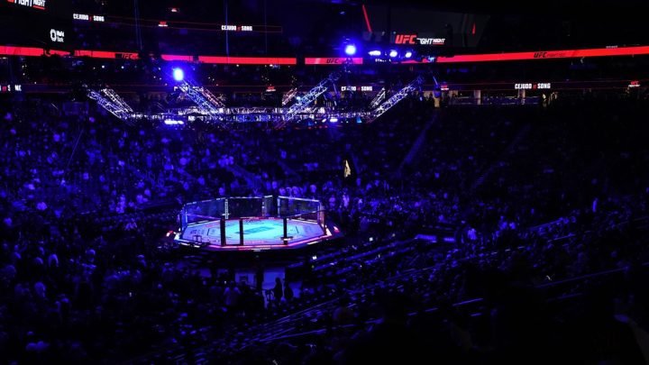 UFC París: el ex campeón de PFL debuta en Nassourdine IMAVOV vs. Caio Borralho Card