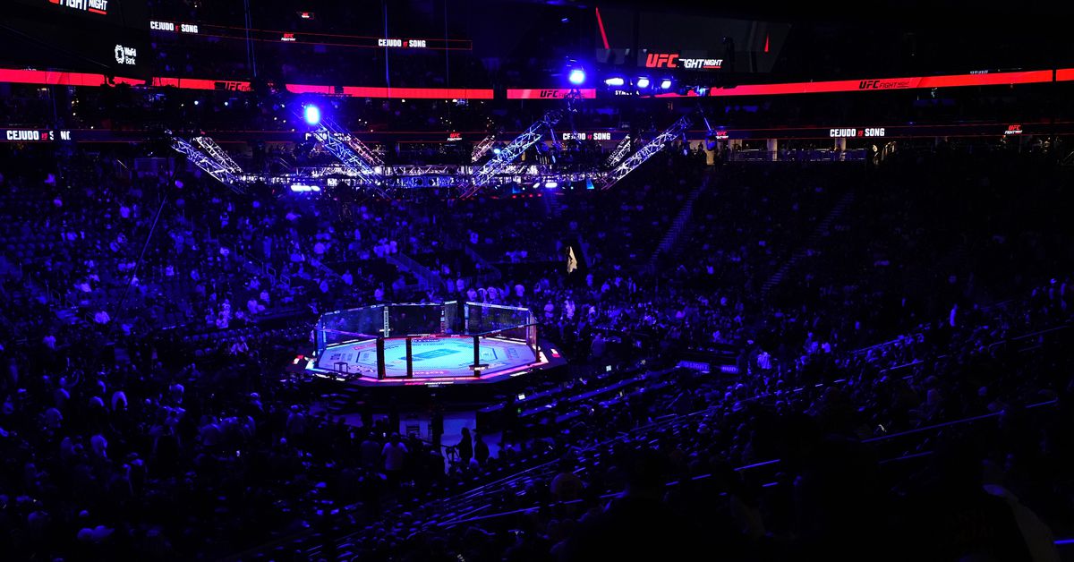 UFC París: el ex campeón de PFL debuta en Nassourdine IMAVOV vs. Caio Borralho Card