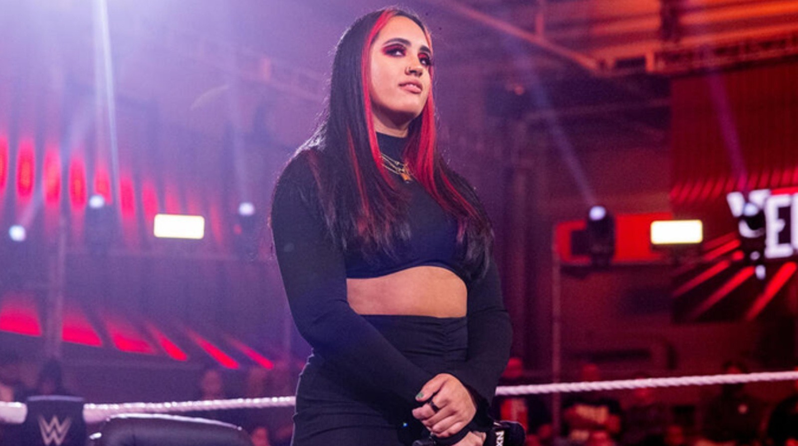 ¿Ava Raine tuvo un finalizador en WWE?