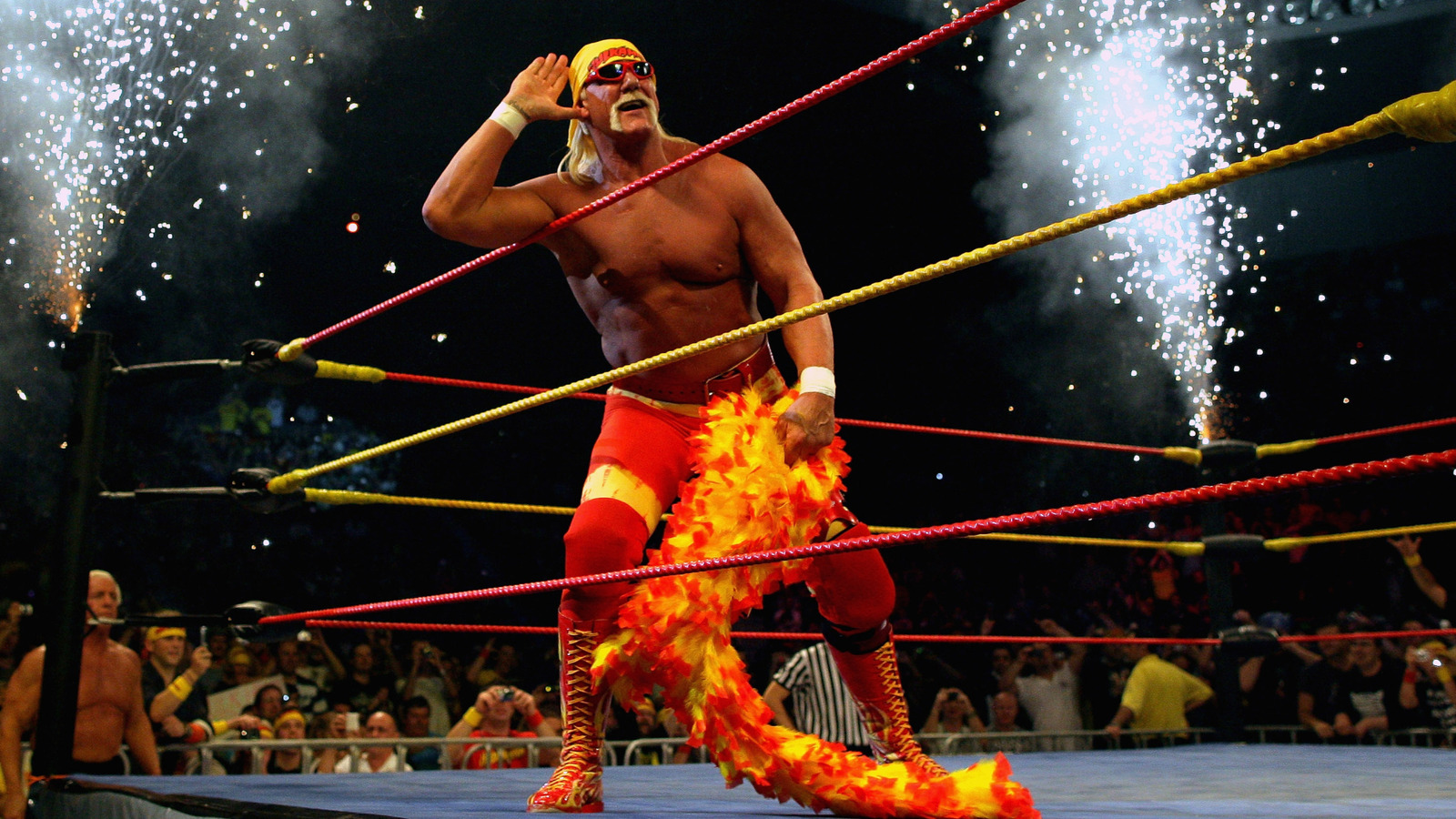 Dave Meltzer detalla la próxima lista de documentales sobre WWE Hofer Hulk Hogan