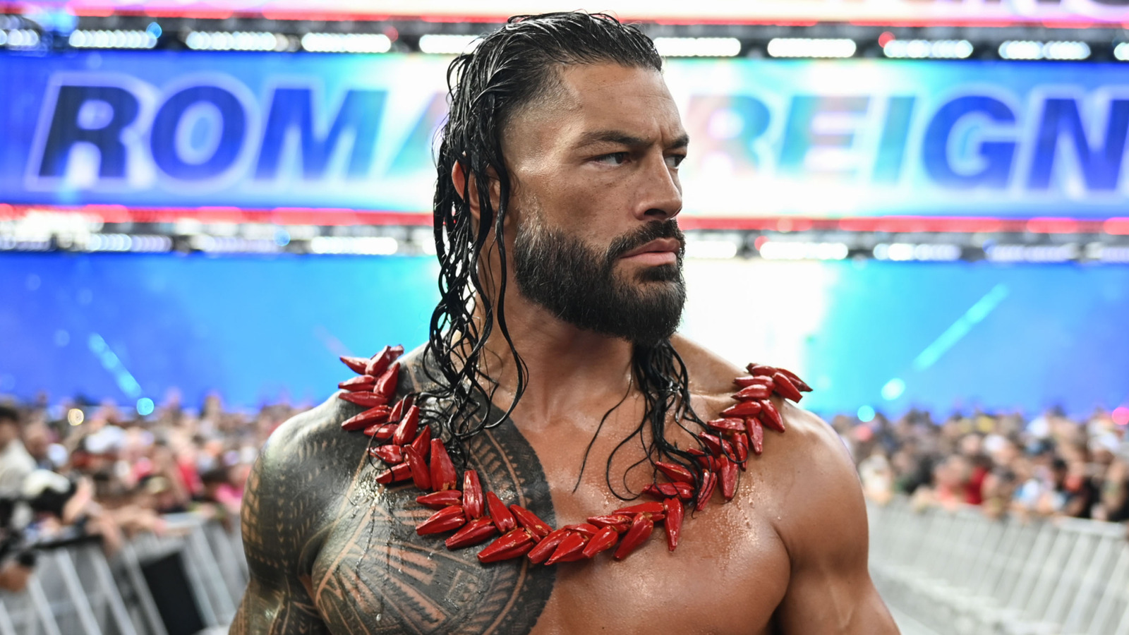 These Wrestlers To DC Character Comparisons Are Spot On