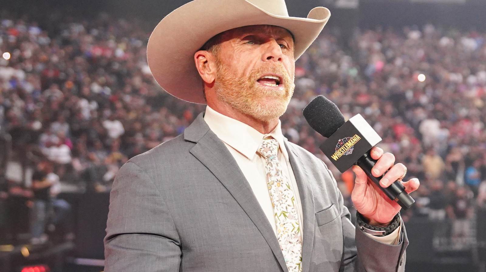 WWE anuncia detalles para Halloween Havoc 2025 de NXT