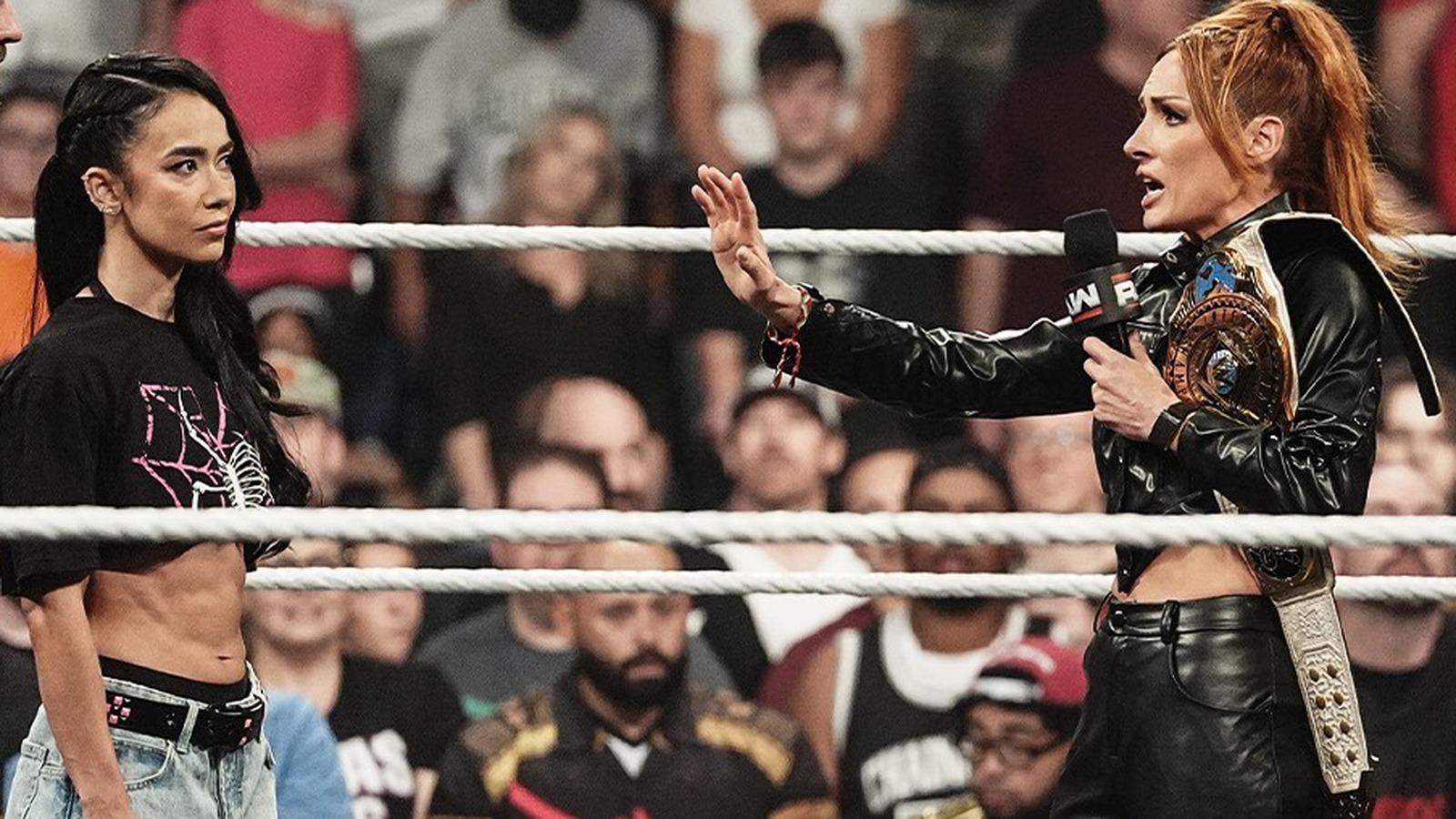 Bully Ray quiere algo muy específico de Becky Lynch de WWE, con AJ Lee