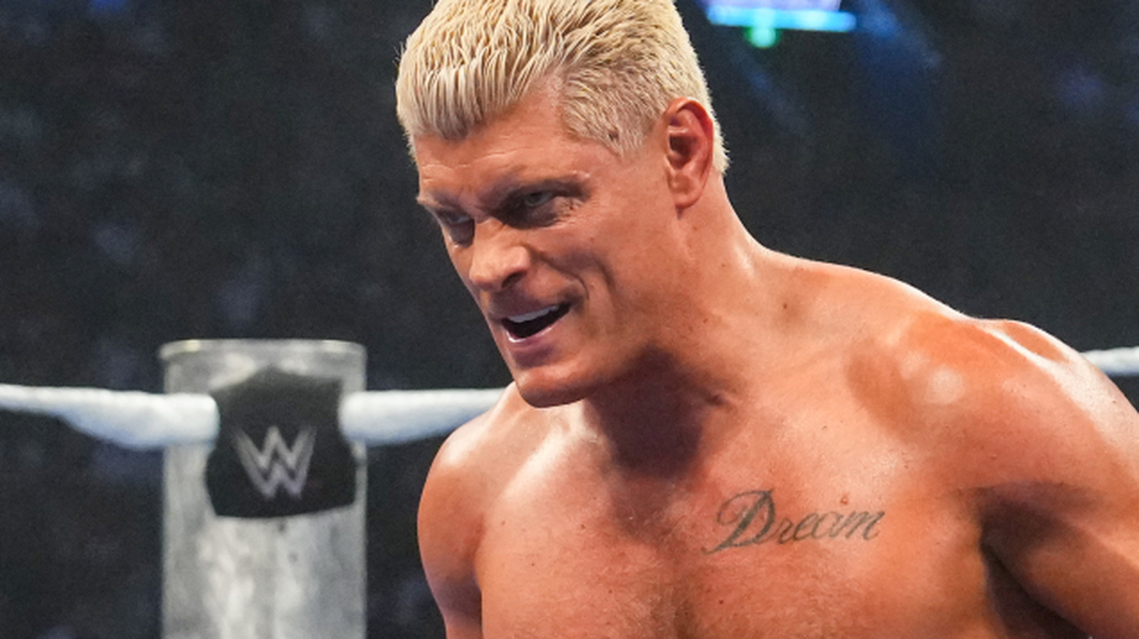 Cody Rhodes de WWE frustrado por la falta de crédito, la esposa Brandi se mete en la esfera de la lucha libre