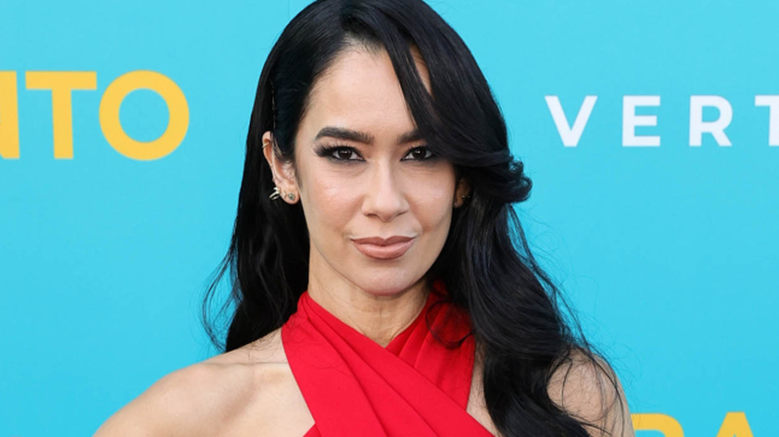 Dave Meltzer ha "confirmado" que AJ Lee estará en la próxima WWE PLE