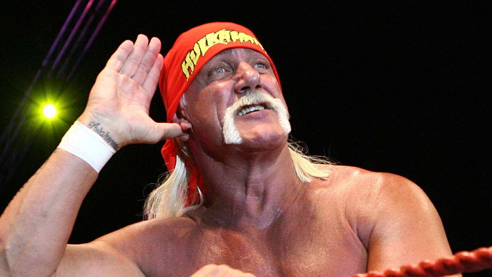 El juez federal emite TRO en la demanda de Hulk Hogan Estate contra Bubba the Love Sponge