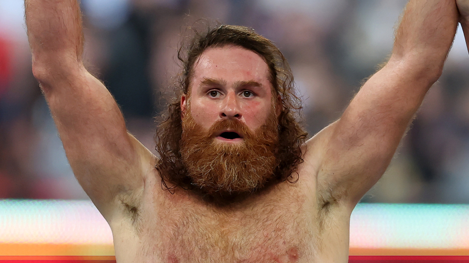 ¿Quién es la esposa de la estrella de la WWE Sami Zayn?