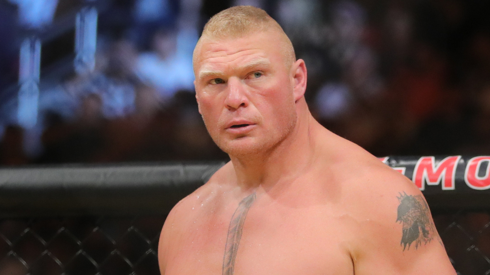 La racha de campeonatos de Brock Lesnar nunca ha sido igualada