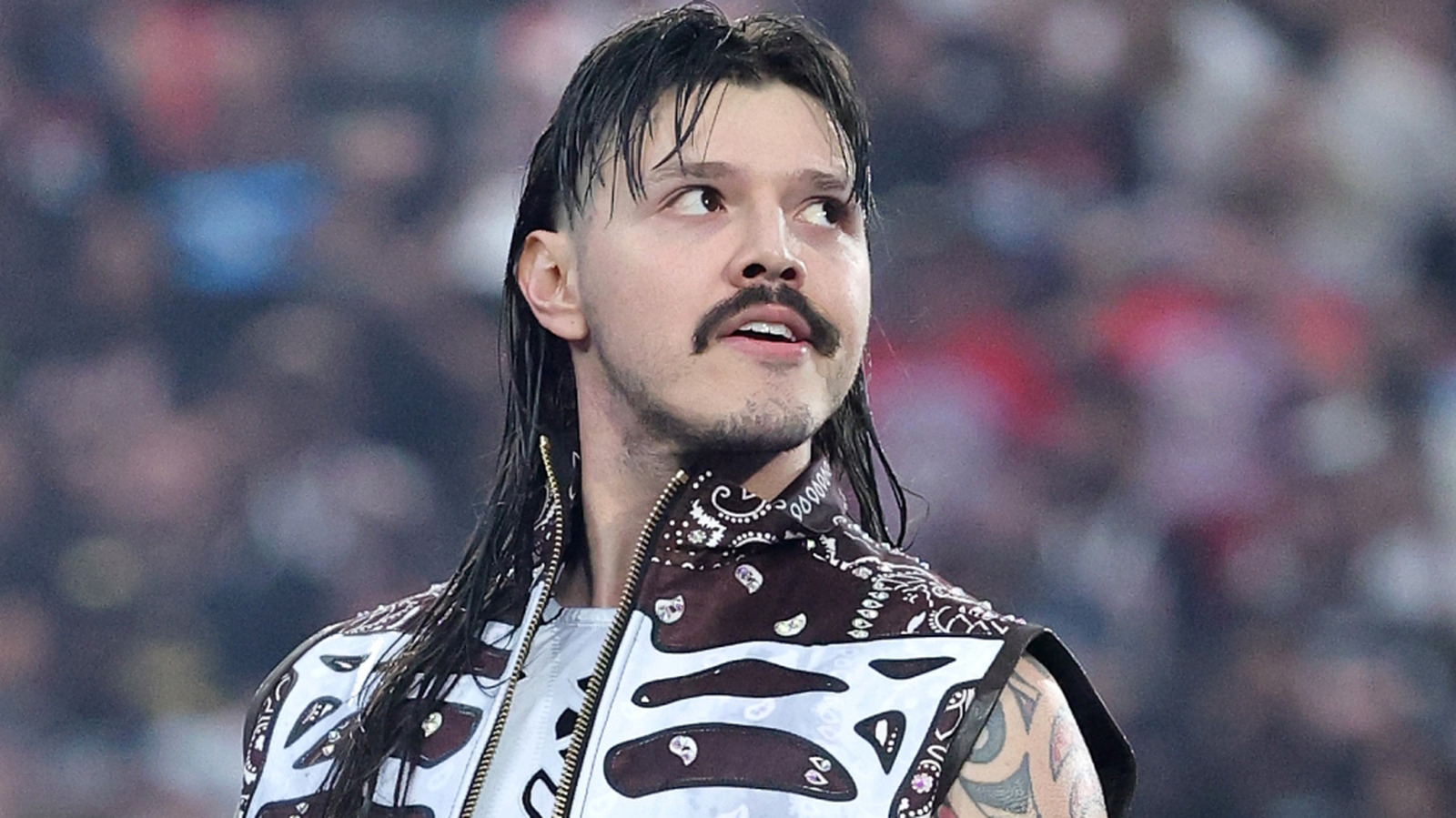 AAA anuncia acuerdo de transmisión internacional con una importante cadena