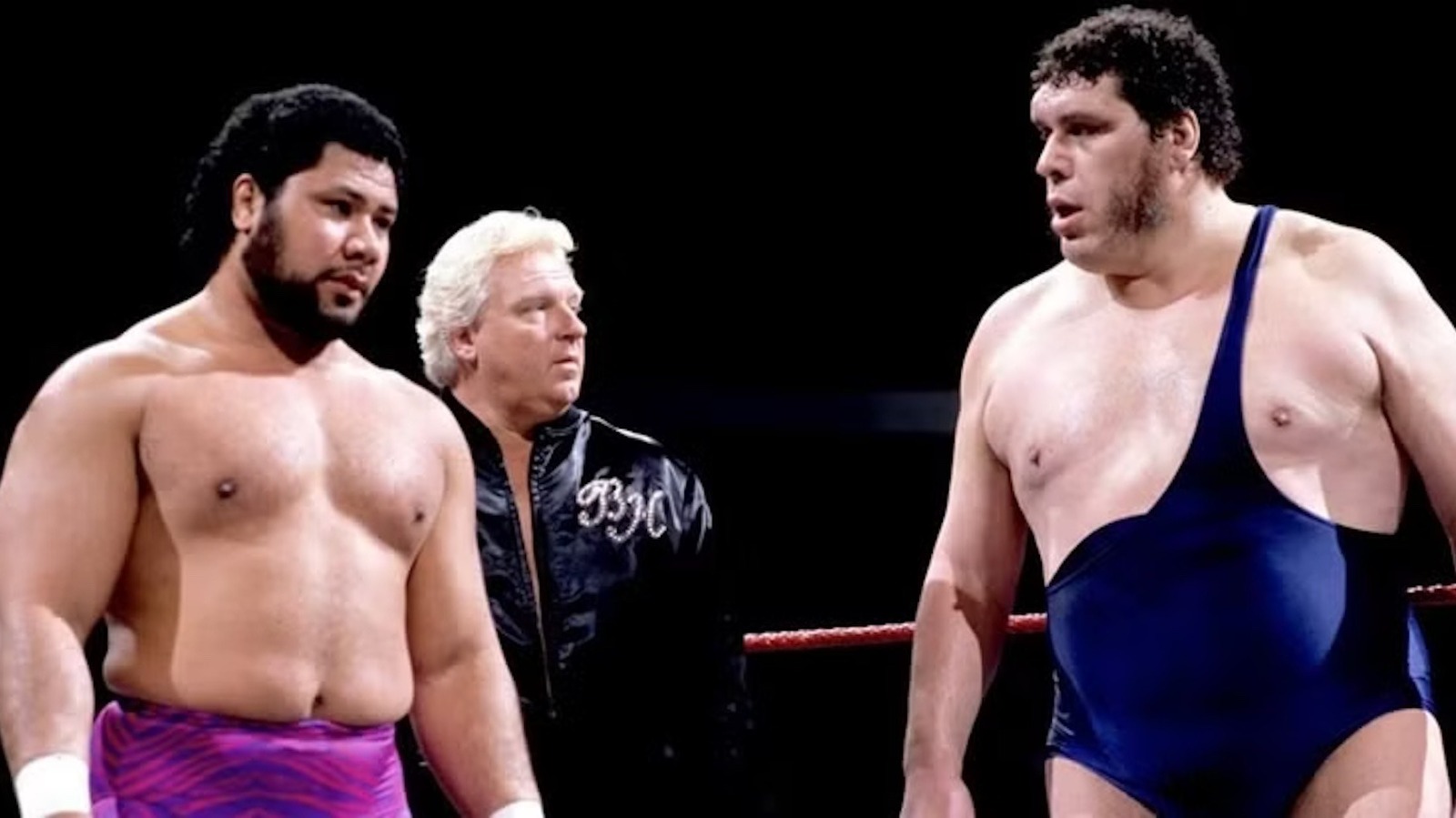 El manager de la WWE mejor clasificado sigue siendo una leyenda propia