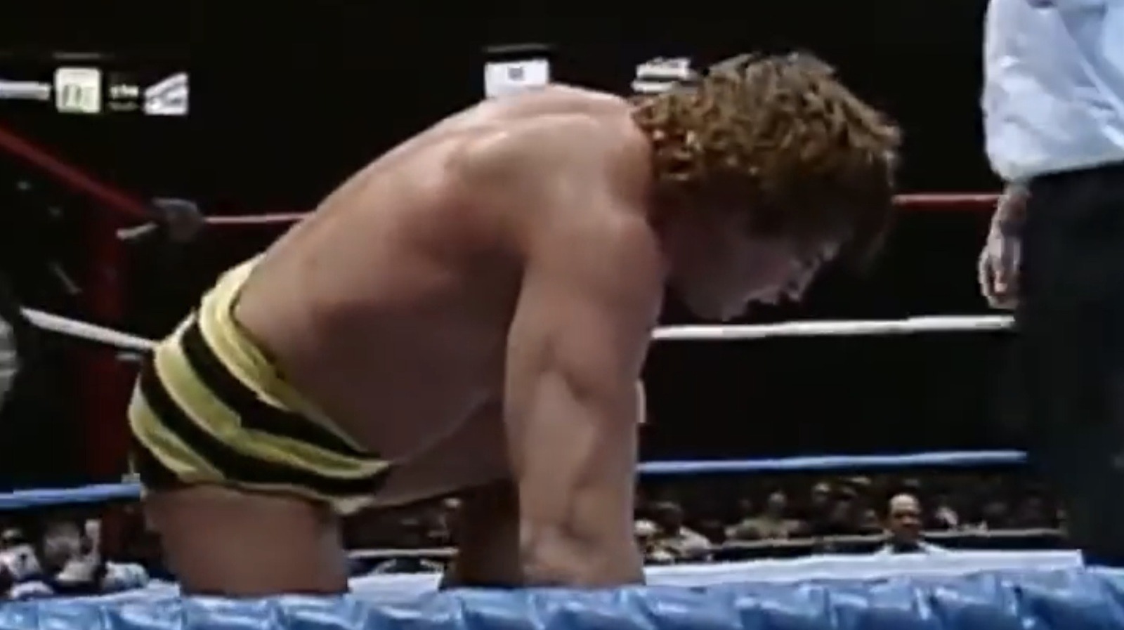 Jim Brunzell cree que un problema personal mantiene a Killer Bees fuera del Salón de la Fama de la WWE