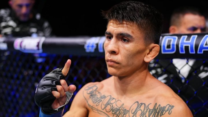 No se prohíben apuestas: Apuestas para UFC Vegas 113