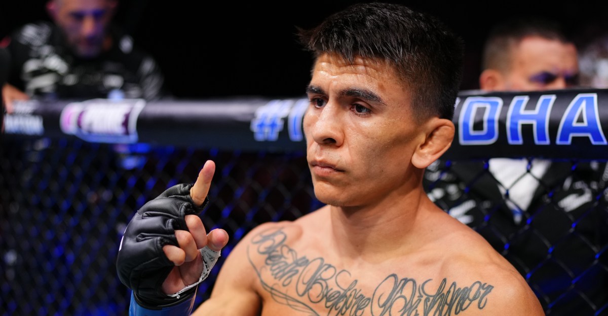 No se prohíben apuestas: Apuestas para UFC Vegas 113