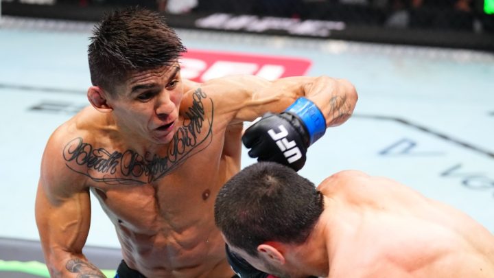 Predicciones de UFC Vegas 113 | Lucha de MMA