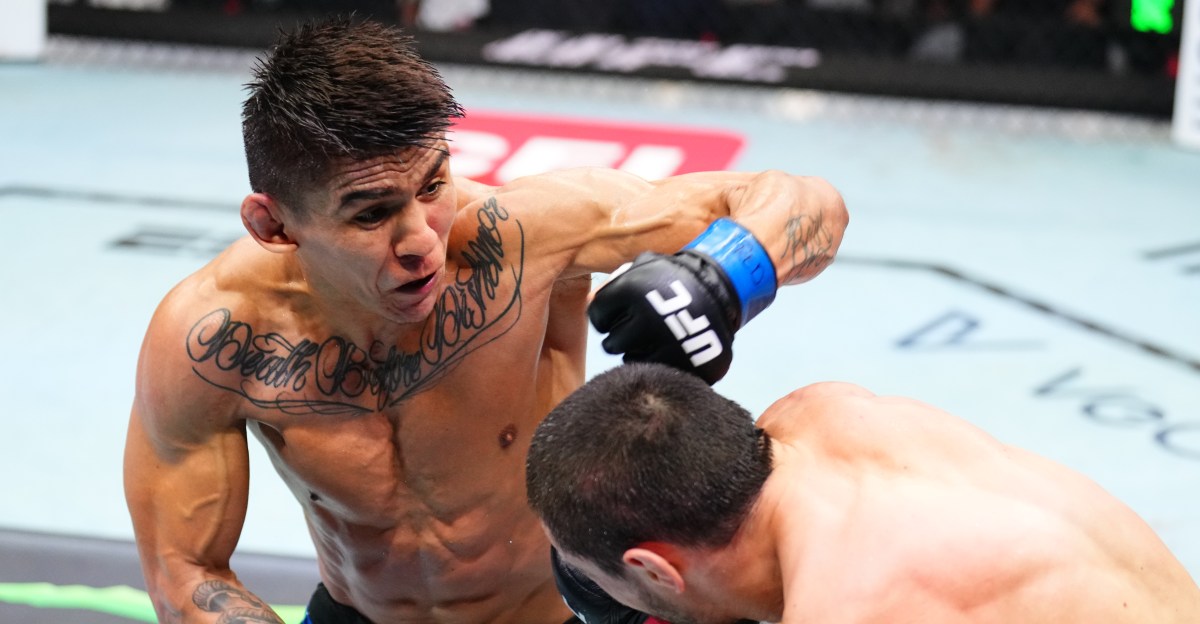 Predicciones de UFC Vegas 113 | Lucha de MMA